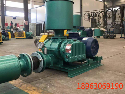 章丘羅茨風機廠家圖2
